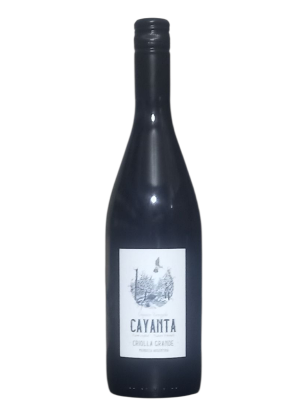 Producto - Cayanta - Criolla Grande 2024 Organico