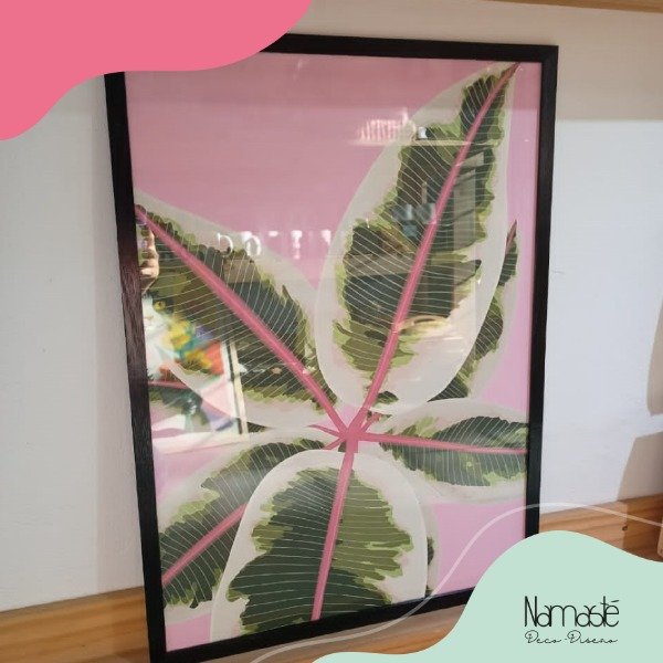 Producto - Cuadro Calathea 50x70