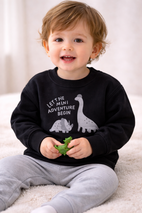 Producto - BUZO DINO  N (talle 6)