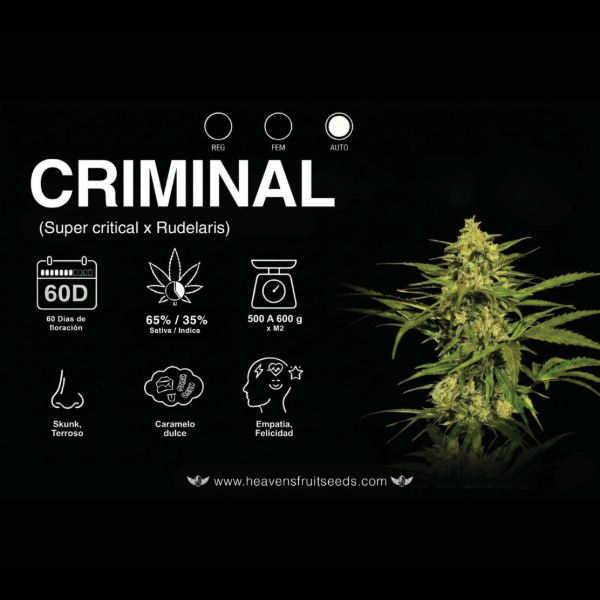 Producto - HEAVENS FRUIT CRIMINAL