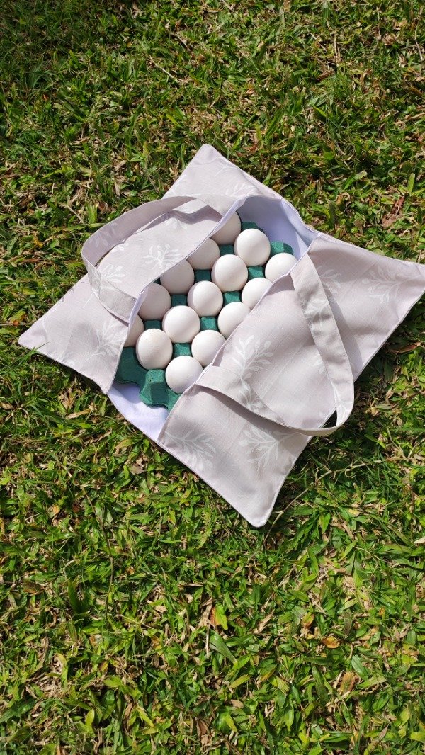 Producto - Huevera BYSOPHI - 1