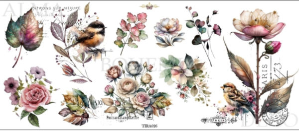 Producto - ALMA BOHEMIA TRANSFER TIRA026