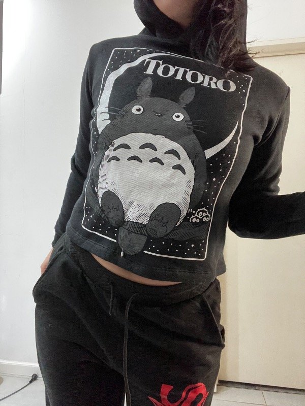 Producto - Buzo crop top Totoro