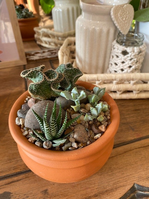 Producto - Maceta Creta