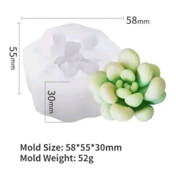 Producto - MOLDE DE SILICONA SUCULENTA K8