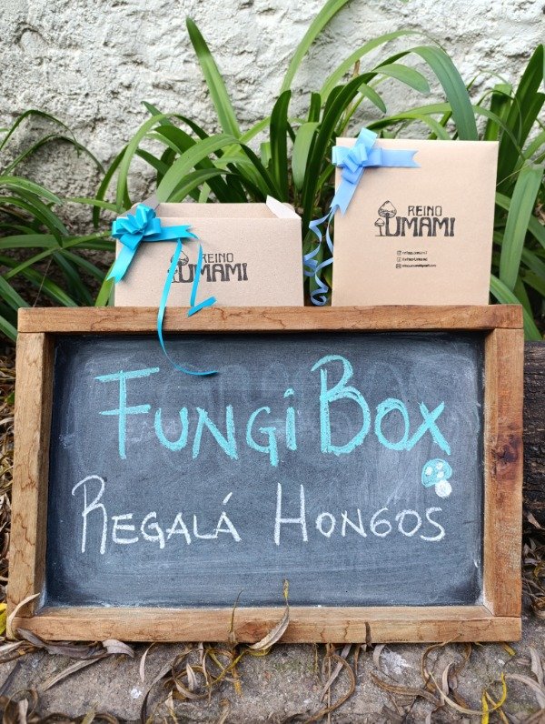 Producto - FUNGI BOX