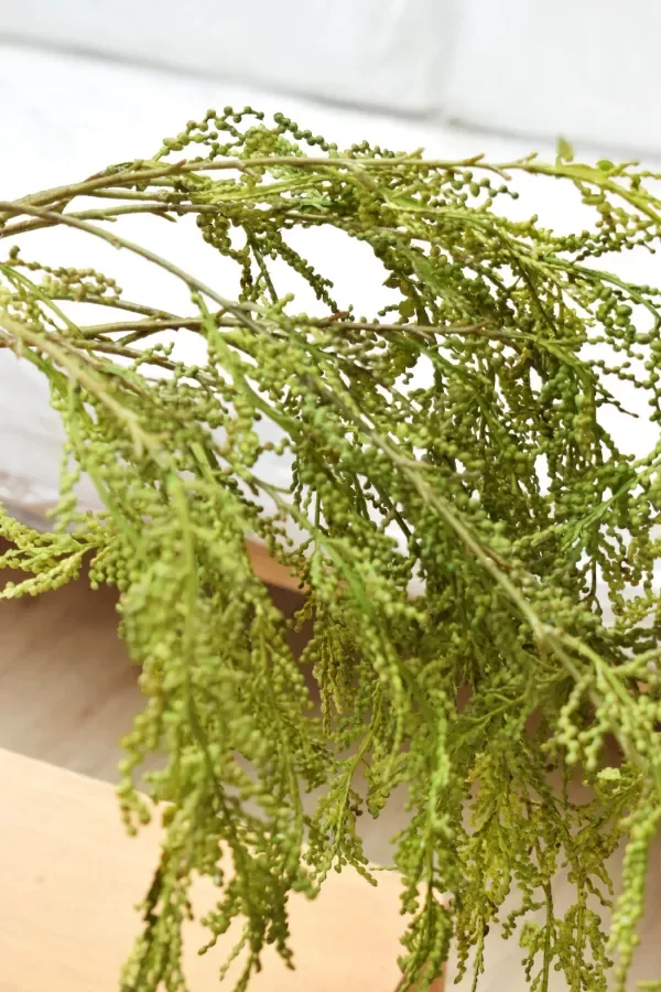 Producto - Vara Silvestre Verde