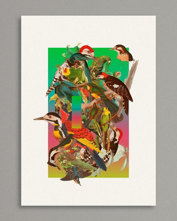Producto - CONSORCIO DE AVES