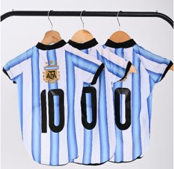 Producto - Camiseta argentina