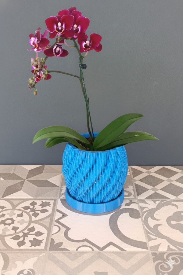 Producto - Orquideas - 1