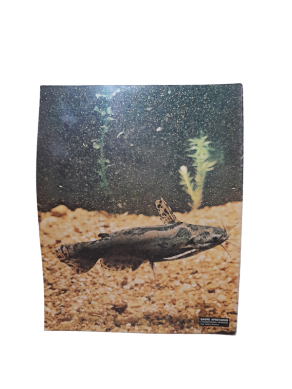 Miniatura de producto - 7