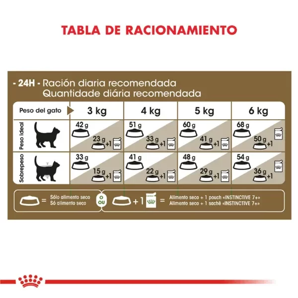 Producto - Alimento Royal Canin Gato Ageing +12 - 2 Kg - 4