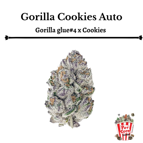 Producto - POTCORN FLAVORS GORILLA COOKIES