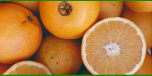 Producto - NARANJAS DE JUGO AGROECOLÓGICAS