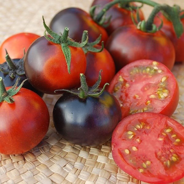 Producto - SEMILLAS DE TOMATE CHERRY CLACKAMAS BLUEBERRY INDIGO