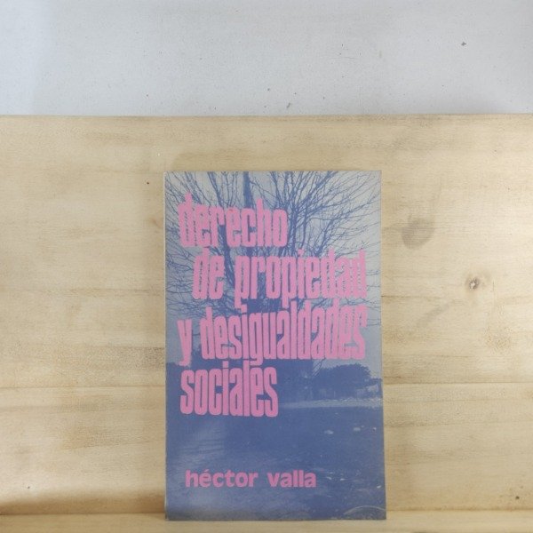 Producto - HÉCTOR VALLA - DERECHO DE PROPIEDAD Y DESIGUALDADES SOCIALES