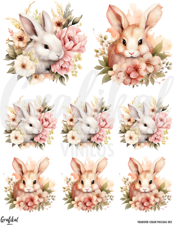 Producto - Transfer Color Pascuas 002