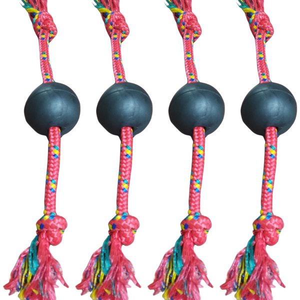 Producto - Pelota Lisa Con Soga Para Perros Pequeños Y Medianos - 1