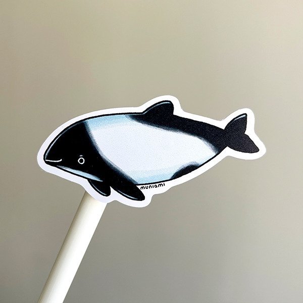 Producto - Sticker vinilo - Fauna marina argentina - Tonina overa