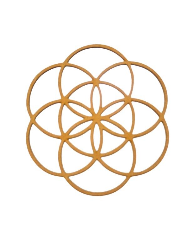 Producto - METATRON 2