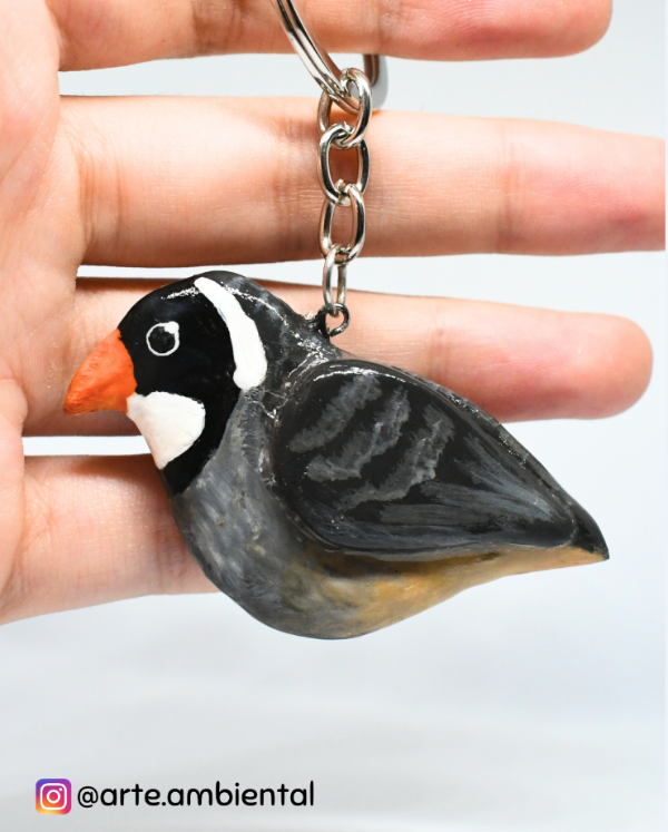 Producto - Llavero de Pepitero de Collar