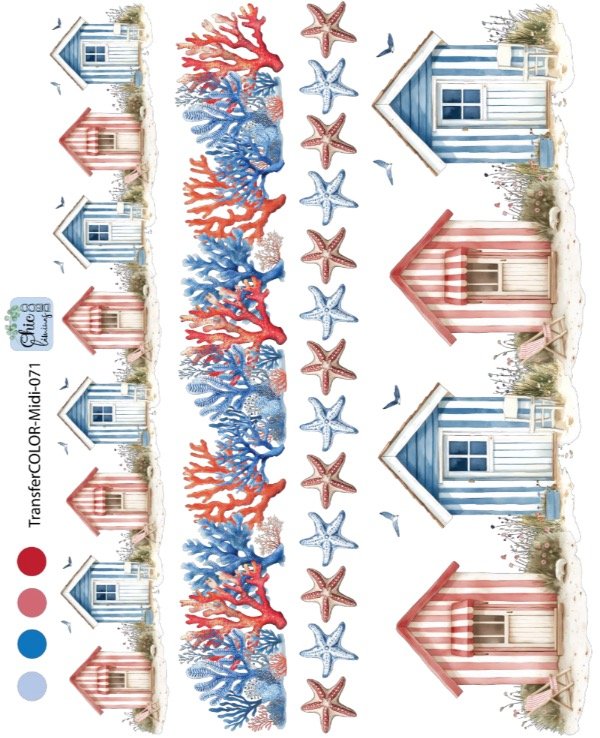 Producto - TransferCOLOR MIDI 071