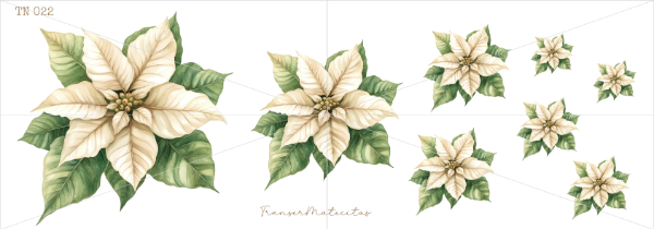 Producto - TN 022