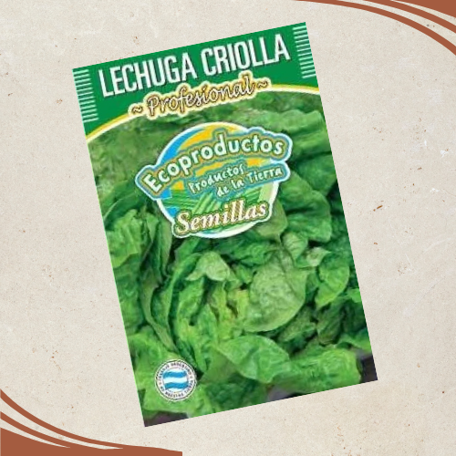 Producto - Semillas de Lechuga Criolla