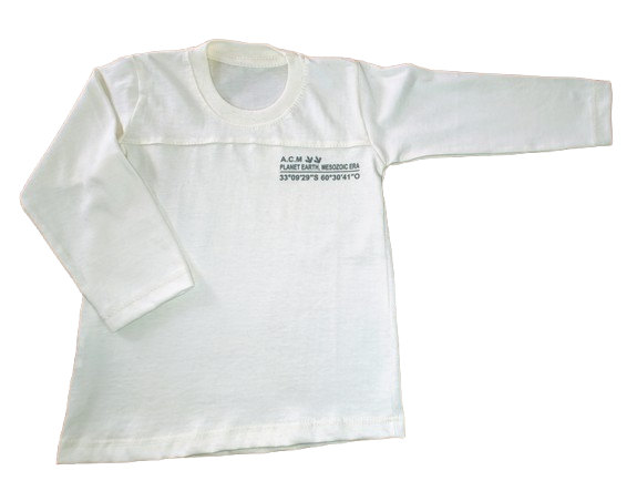 Producto - Remera Manga Larga