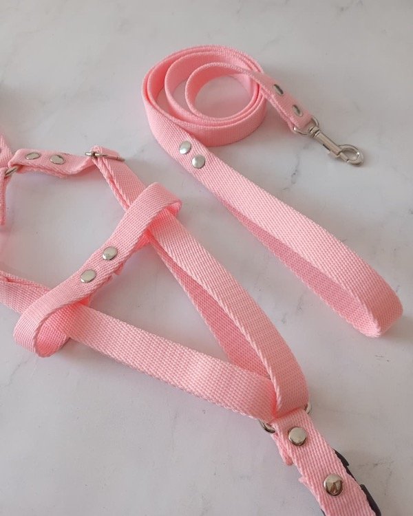 Producto - Combo pechera + correa S y M - 1