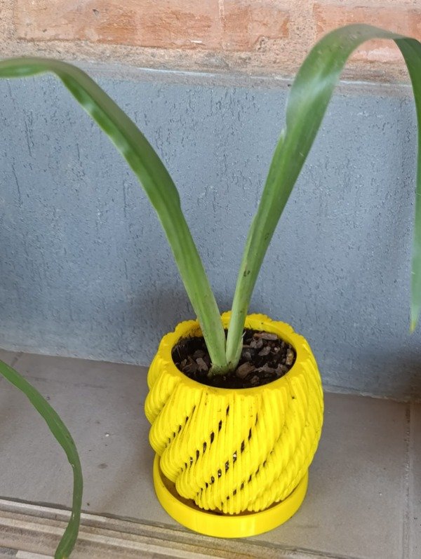 Producto - Orquideas - 3