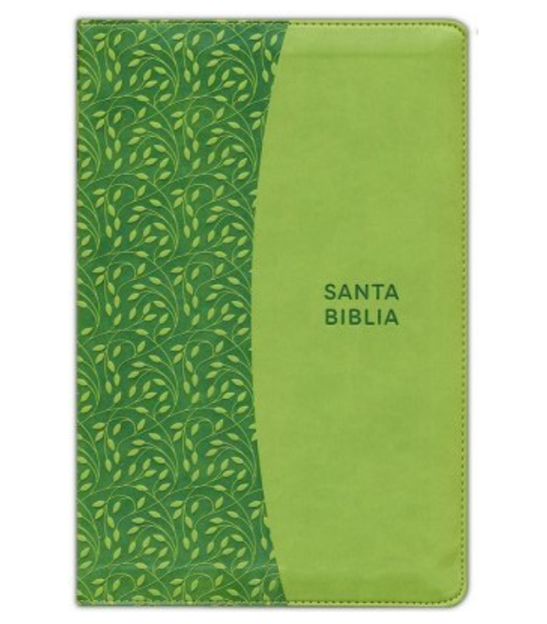 Producto - BIBLIA LETRA GRANDE RVR CON CIERRE VERDE