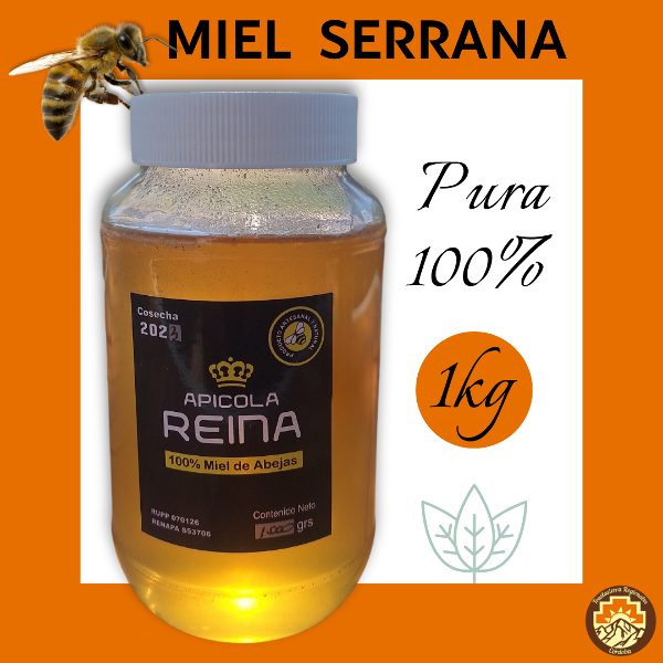 Producto - Miel Apicola Reina x1kg