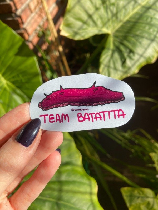 Producto - STICKER CONICET BATATITA