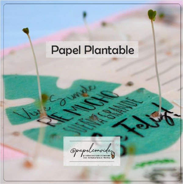 Producto - Tarjeta 6,5 x 6,5 Cm