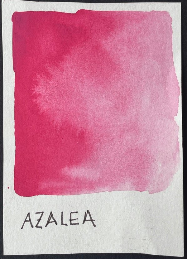 Producto - AZALEA