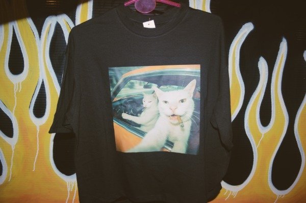 Producto - Reme Cats