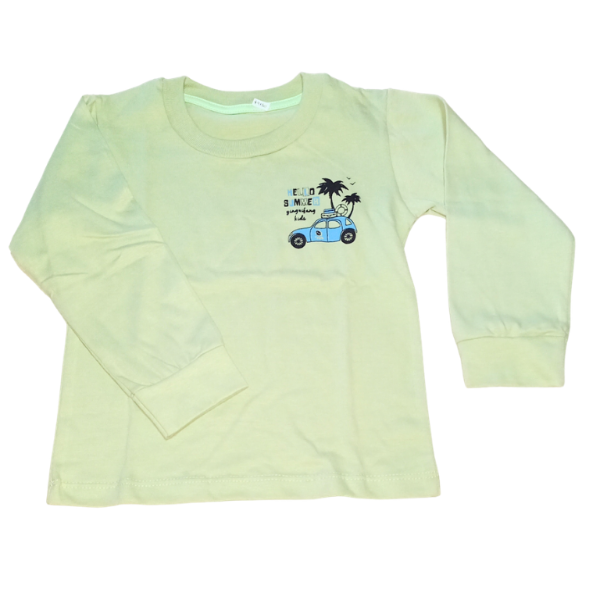 Producto - Remera auto verde