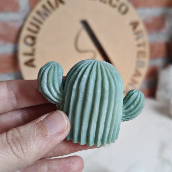 Producto - Cactus 2 bracitos 26I8