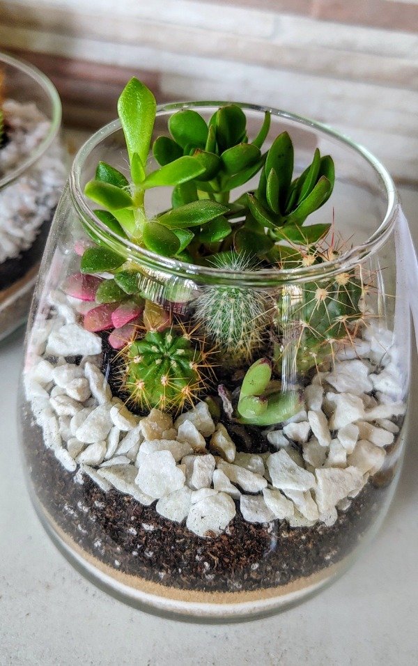Producto - Terrario GRANATE