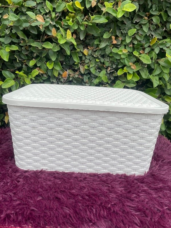 Producto - Canasto simil ratan chico con tapa - 3