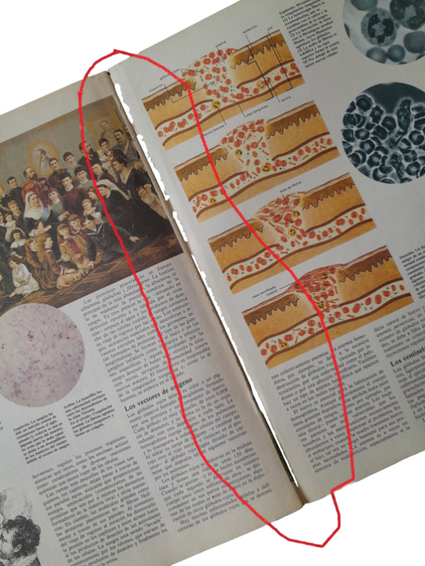 Miniatura de producto - 6