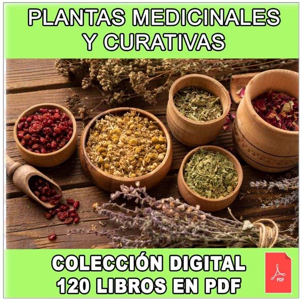 Producto - PLANTAS MEDICINALES Y CURATIVAS