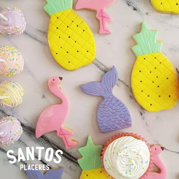 Producto - Cookies temáticas x6