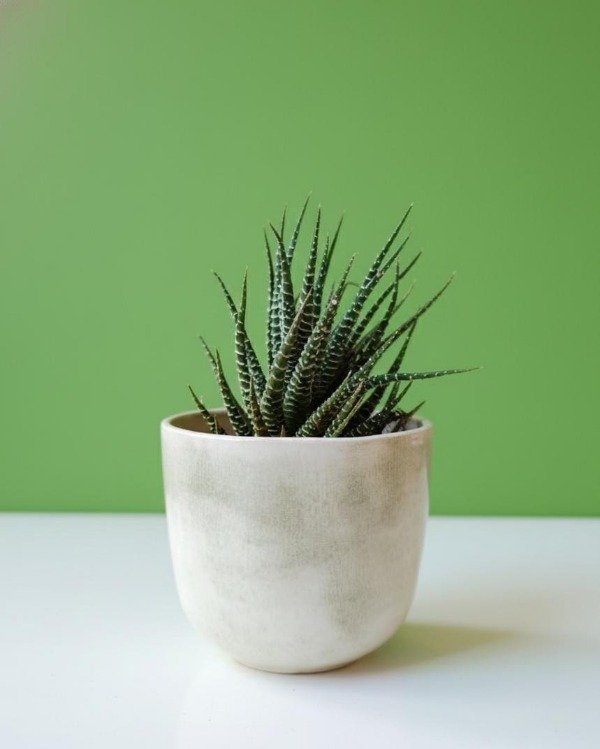 Producto - Maceta cerámica artesanal Cuencos