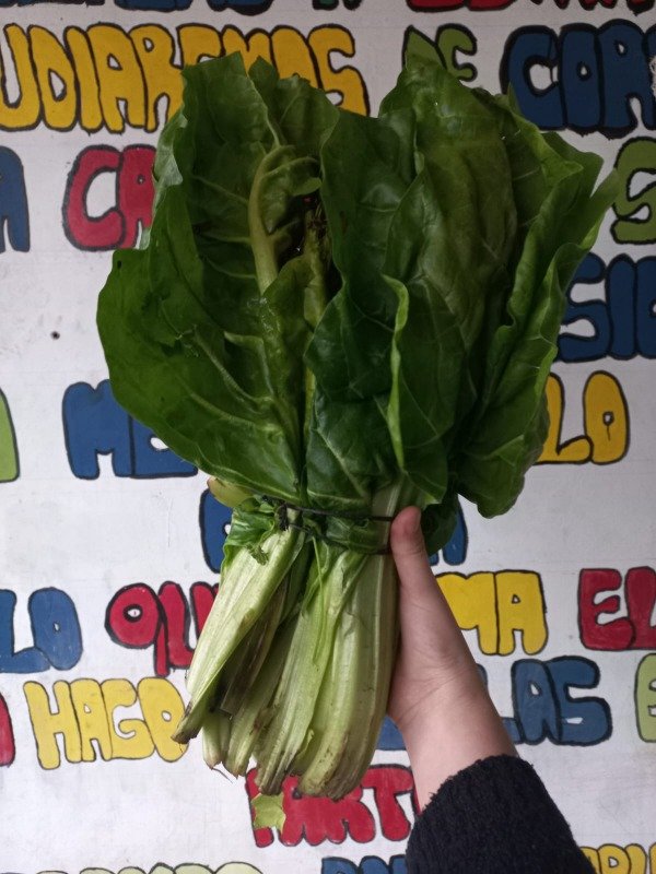 Producto - Acelga - atado