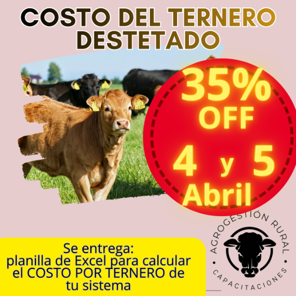 Producto - Taller Online: Costo del Ternero