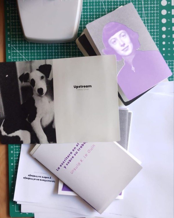 Producto - PREVENTA Sobre la escritura