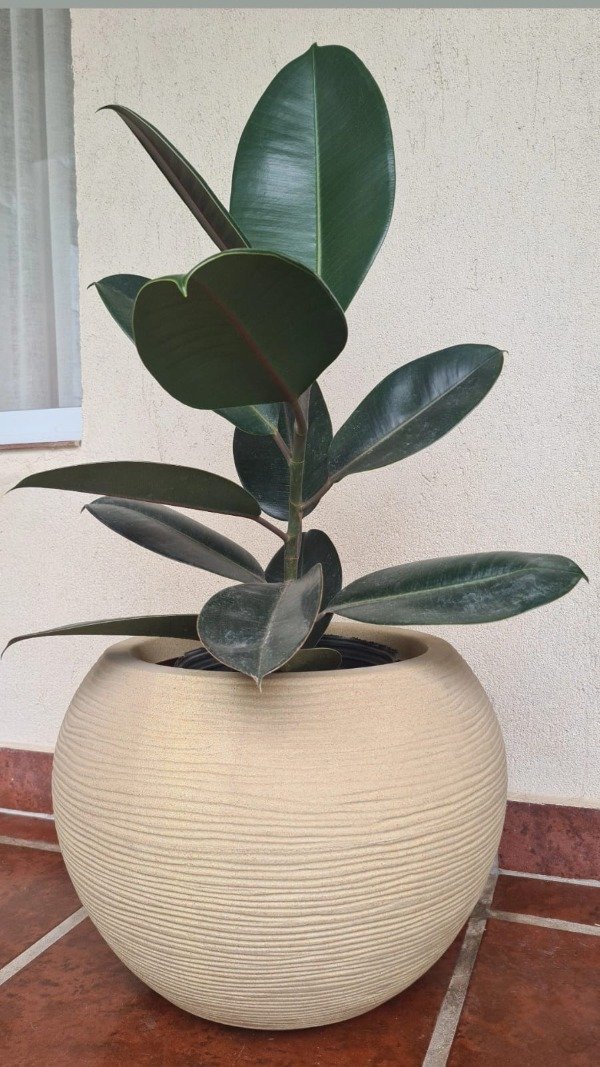 Producto - Maceta Plástico Esferica 17x19 Textura Simil Piedra + Plato Color Beige