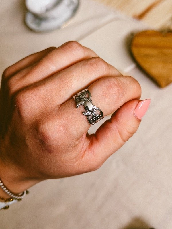 Producto - Anillos Acero